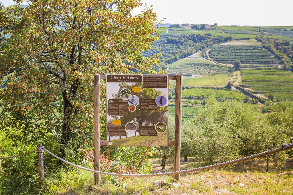 סאן מרטינו בואון אלברגו Agriturismo Casa Zen מראה חיצוני תמונה