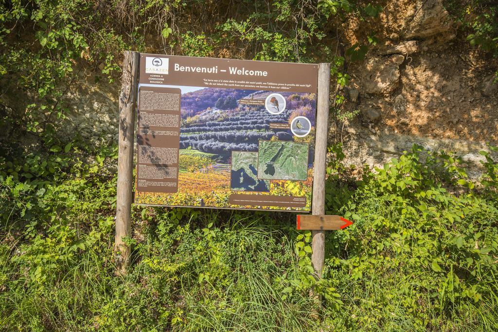 סאן מרטינו בואון אלברגו Agriturismo Casa Zen מראה חיצוני תמונה