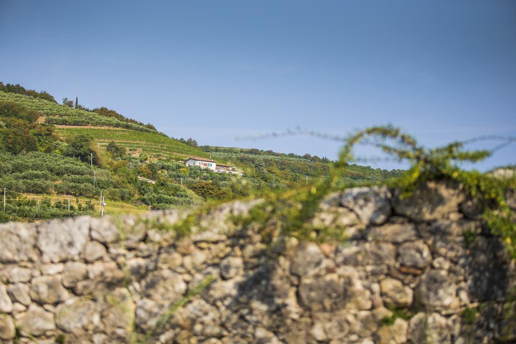 סאן מרטינו בואון אלברגו Agriturismo Casa Zen מראה חיצוני תמונה